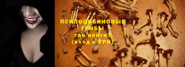 амф Нея