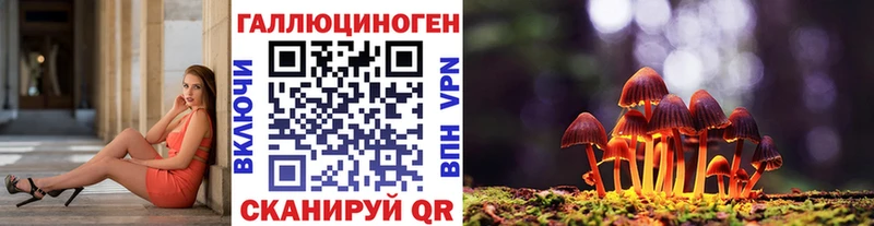 Галлюциногенные грибы мицелий  Пятигорск 